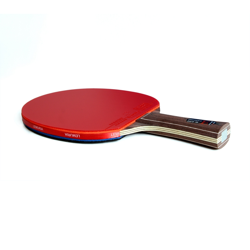 Lemuria EBENHOLZ-Tischtennissc – Table Tennis Padel Bewertung und Preis