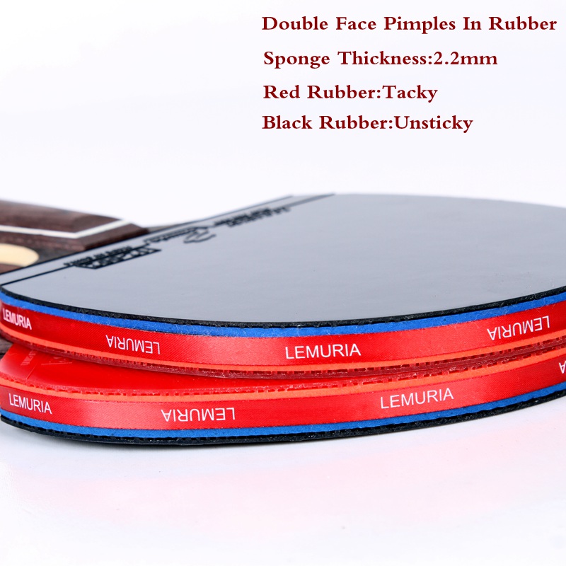 Lemuria EBENHOLZ-Tischtennissc – Table Tennis Padel Bewertung und Preis