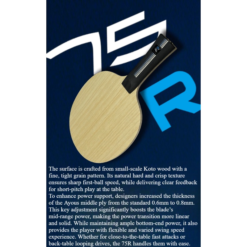 SANWEI 75R 5+2 Outer H-GLC Tis – Table Tennis Usa Bewertung und Preis