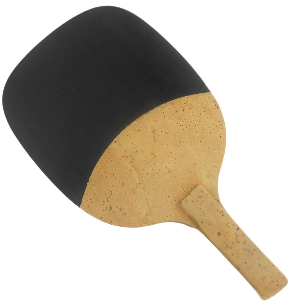 PALIO 8603 Carbon Titan Tischt – Table Tennis Padel Bewertung und Preis
